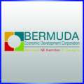 Covid-19: BEDC Support For Business Owners