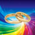 PLP On Same Sex Marriage Referendum Bill