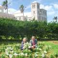 Bermuda Sends Easter Lilies To The Queen