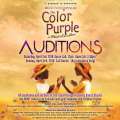 Troika Auditions For “The Color Purple” Musical
