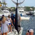 Video: 625 Pound Marlin Earns Tournament Prize