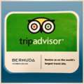 BTA: Locals Asked To Review On TripAdvisor