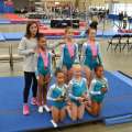 Quality Gymnastics Athletes Compete Overseas