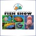 Fry-Angle Aquarium Fish Show On Nov 11