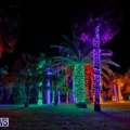 Photos & Video: Festival Of Lights At Gardens