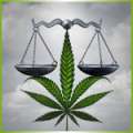 MPs Pass Cannabis Licensing Act Legislation