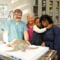 Video & Photos: Turtle Successfully Rehabilitated
