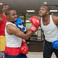 Photos & Video: Aries Center Celebrity Boxing