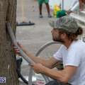 Video: Beekeeper Relocates Bees From City Tree