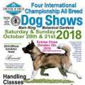 Upcoming International Dog Shows In October