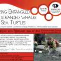 Lecture: Helping Entangled Whales, Sea Turtles