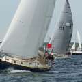 Marion Bermuda Sailing Race Starts June 14