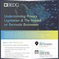 BEDC Data Privacy & Cybersecurity Course