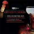 Crimson Moon Halloween Cocktail Competition