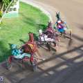 Harness Pony Racing Race Day Results