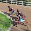 Harness Pony Racing Race Day Three Results