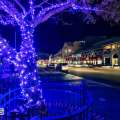 Photos: Hamilton Christmas Lights, Decorations