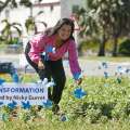 Art Display Of Blue Butterflies At Roundabout