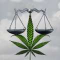 Govt House & Govt On Cannabis Bill Assent