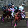 Remembrance Day Harness Pony Race Results