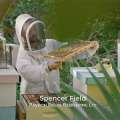 Video: BTA Spotlights Spencer Field Beekeeping