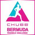 BermudAir: Official Airline For Triangle Challenge