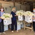Easter Lilies Delivered To Rest Homes