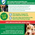 Sunday: Dog Vaccination Clinic At Bulls Head