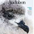 Cahow Featured In US Audubon Magazine Cover