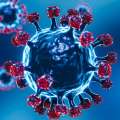 Latest Coronavirus Variants Detected In Bermuda