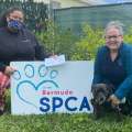‘Pawsitively Purrfect’ Donate $2,850 To SPCA