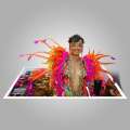Photos: 3D Look At Carnival In Bermuda