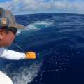 Video: 2022 Bermuda Billfish Blast Highlights