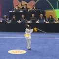 Errin Cann Wins Wushu Championships Medal