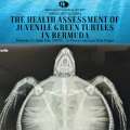 Aug 16: Juvenile Green Turtles Health Lecture