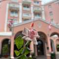 Elle Names ‘Island Rose’  Best Hotel Scent