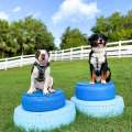 New ‘Private Dog Park’ Opens In Smith’s