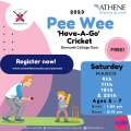 Athene Life Sponsor Pee Wee Cricket Program