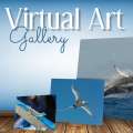 Video: Bermuda Wildlife Virtual Photo Gallery