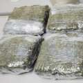 $14 Million In Cannabis Seized, 9 People Arrested