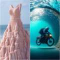 Dresses, Onion Cake, Motorbike, Fish, Freedom