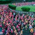 Photos & Video: 2023 Bacchanal Run Event
