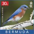 Backyard Birds Commemorative Stamp Issue