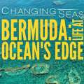 PBS Bermuda Episode Gets Two Emmy Nods
