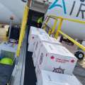 BermudAir Launches New Cargo Service