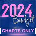 Charts Only: 2024-2025 Bermuda Budget