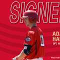 Baseball: Winnipeg Goldeyes Sign Adam Hall