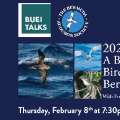 BUEI Talks: ‘A Big Year For Birds In Bermuda’