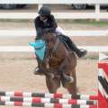 Bermuda’s FEI Jumping Challenge Round Two