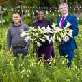 Easter Lilies To Be Sent To King Charles III